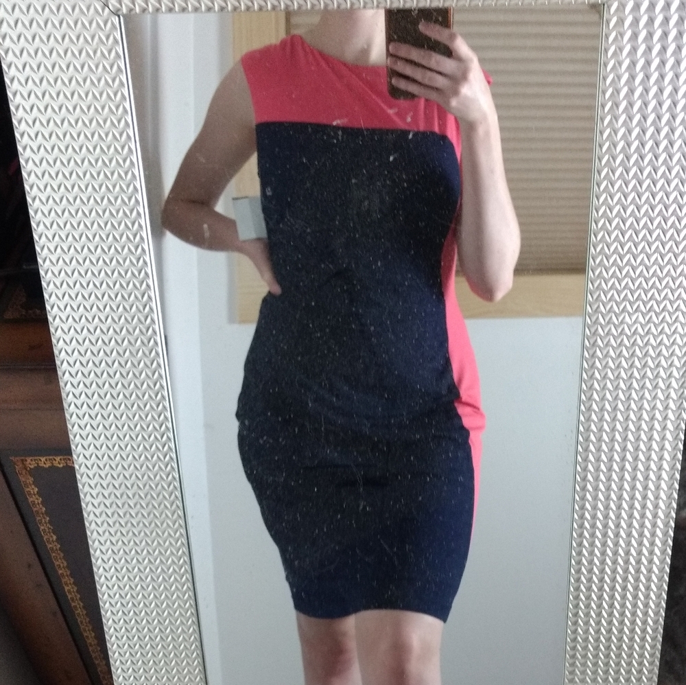 Pink/Blue Professional Dress